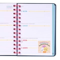 Agenda escolar Mr. Wonderful Wonder Mini día/pág cat 2025-26 Grans plans, il·lusions i bones vibracions