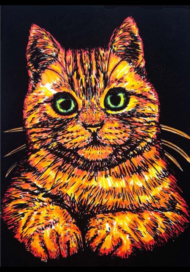 L&aacute;mina terciopelo Colorvelvet Gato