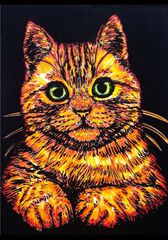 Lámina terciopelo Colorvelvet Gato