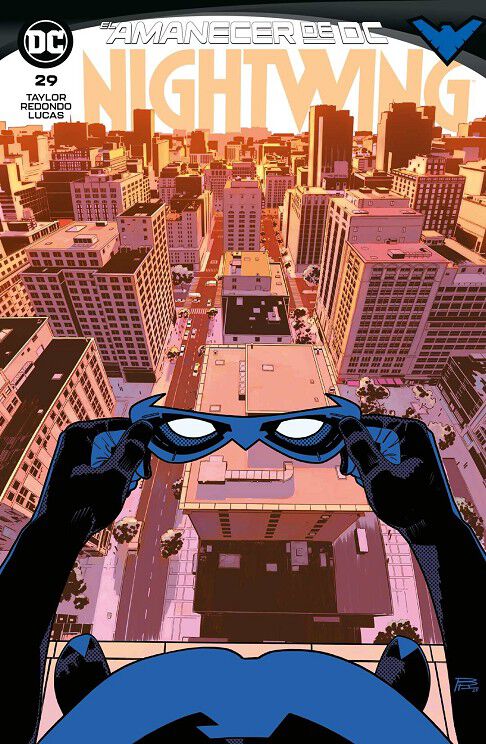 Nightwing n&uacute;m. 29