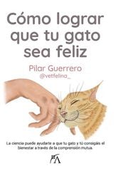 Cómo lograr que tu gato sea feliz Cómo lograr que tu gato sea feliz