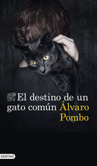 El destino de un gato común