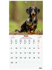 Calendario pared Finocam 18x18 2026 Dogs multilingüe