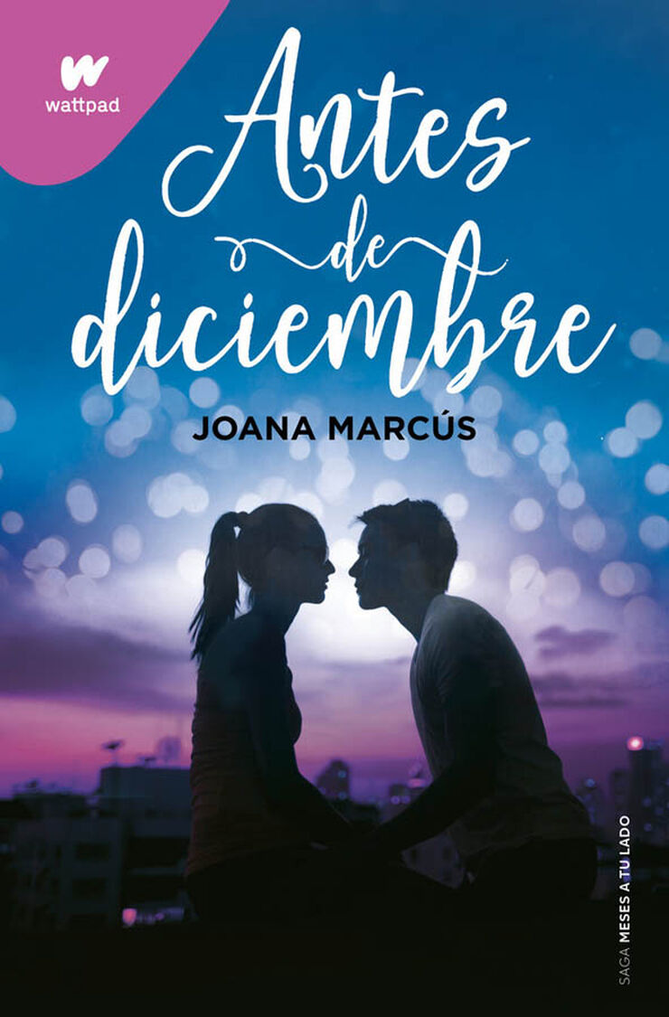 Antes de diciembre (edición revisada por la autora) (Meses a tu lado 1) Antes de diciembre (edición revisada por la autora) (Meses a tu lado 1)