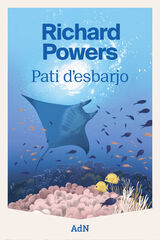Pati d'esbarjo Pati d'esbarjo