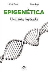 Epigenética Epigenética