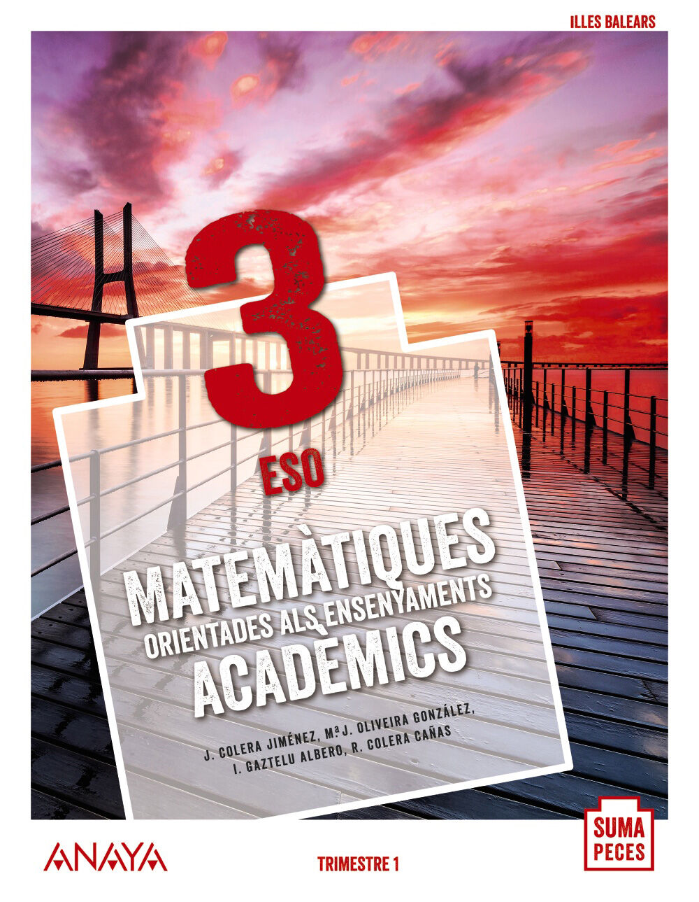 Matem&agrave;tiques-Acad/20 Eso 3 Anaya Text 9788469861448