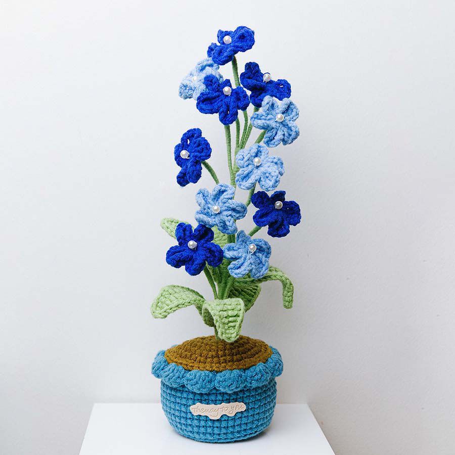 Planta de Ganxet Nomoblidis blau