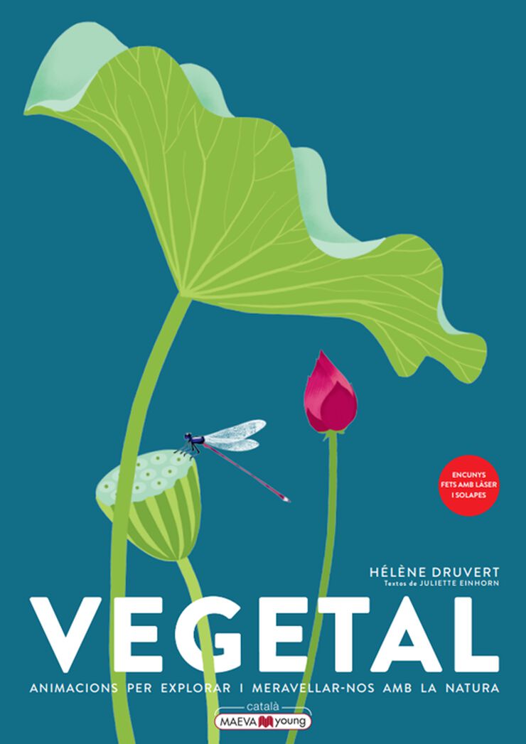 Vegetal