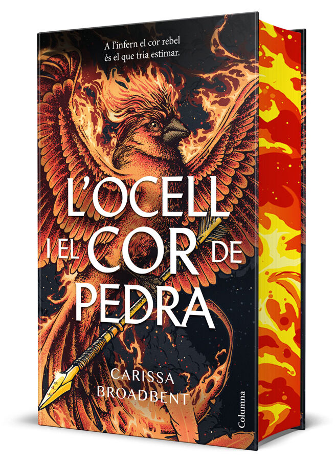 L'ocell i el cor de pedra