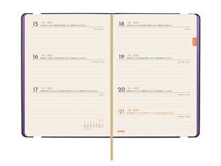 Agenda Finocam Joy Setmana Vista Horitzontal 2027 Castell&agrave; Fiona