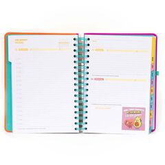 Agenda Mr.Wonderful día/pág 2026 cat Continua intentant