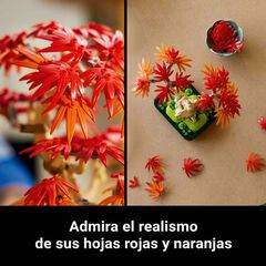LEGO® Botanicals Bonsái de Arce Rojo Japonés 10348