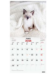 Calendari paret Finocam 30x30 2026 Gatets català