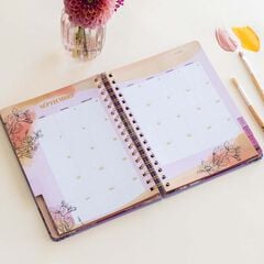 Agenda La Vecina Rubia castellano sem/vista 2026