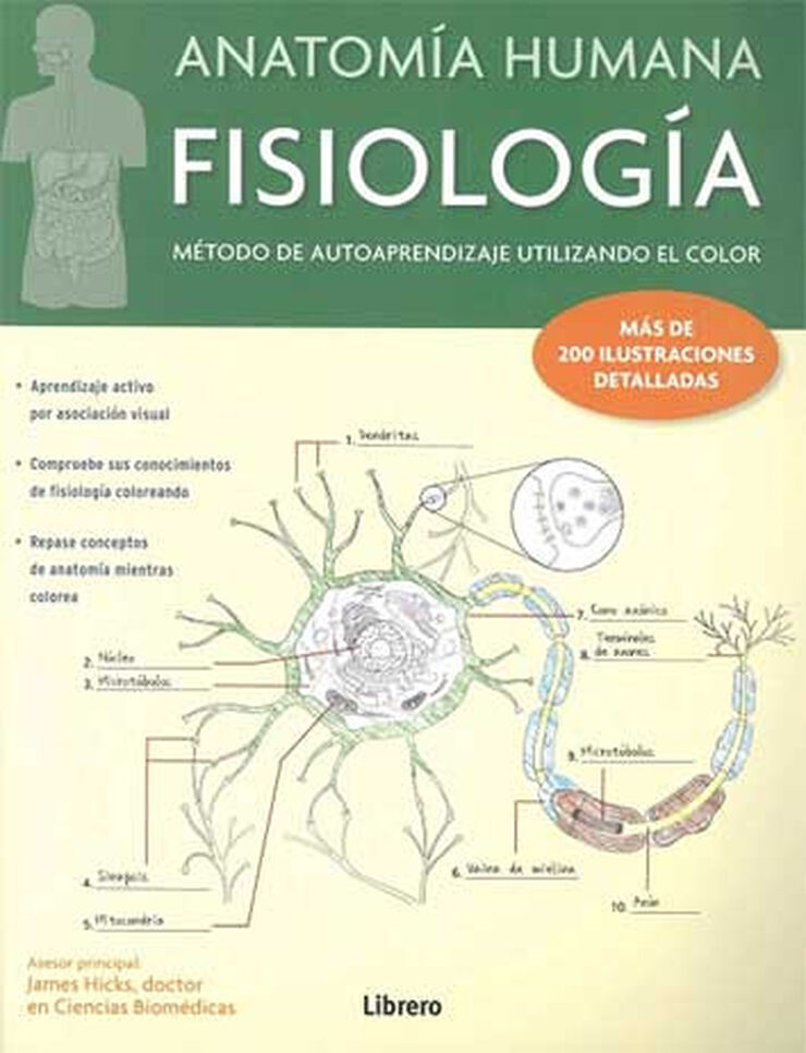 Anatomía humana - Fisiología