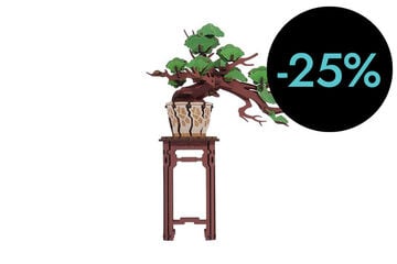 Maqueta Rolife Bonsai Pine