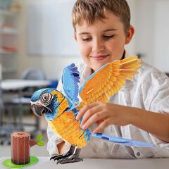 Puzle 3D National Geographic Guacamayo Barba Azul