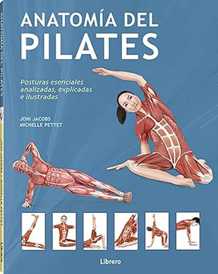 Anatomia del pilates