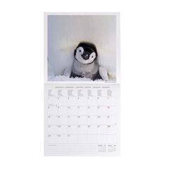 Calendario pared Legami 30X29 2024 Penguins