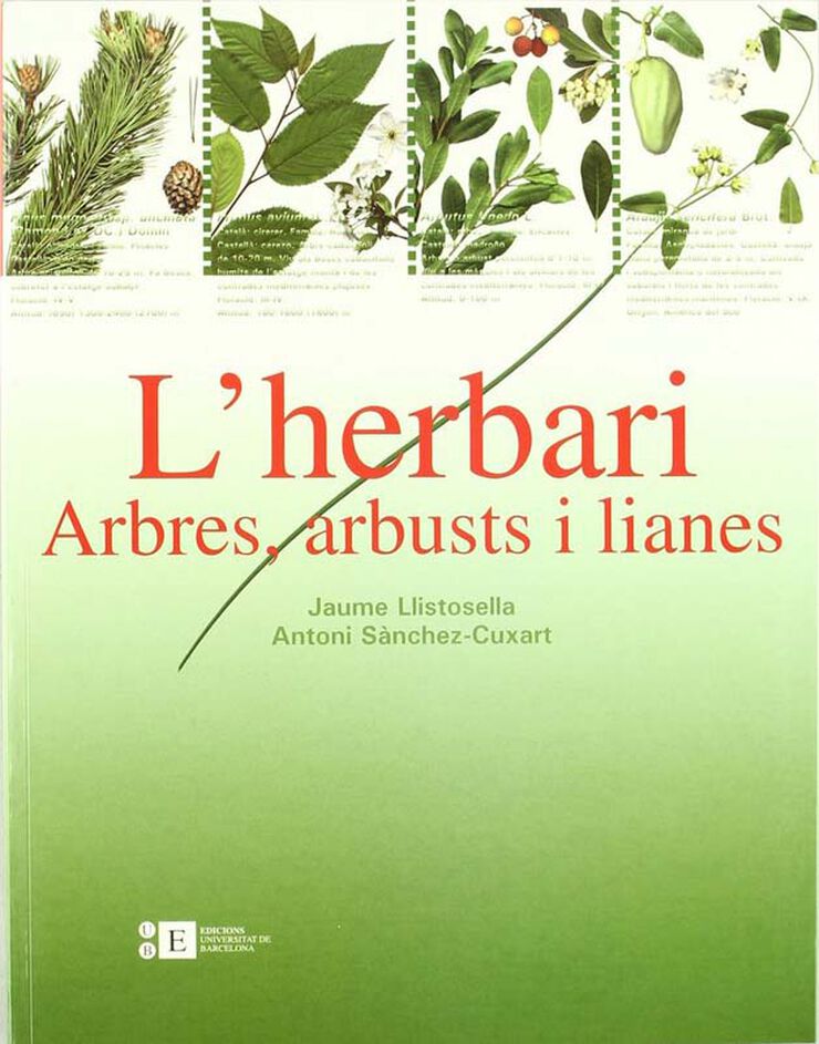 L'herbari: arbres, arbusts i lianes
