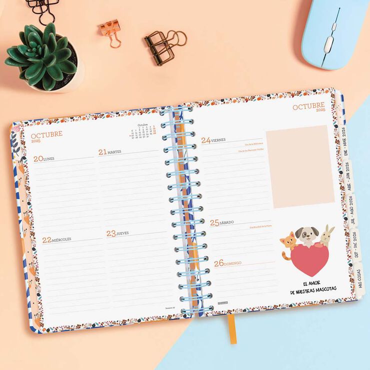 Agenda Finocam 16 meses Vitae 1/4 sem/vista cas 2025-26 azul