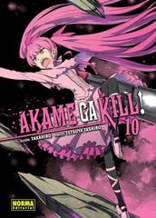 Akame Ga Kill! 10