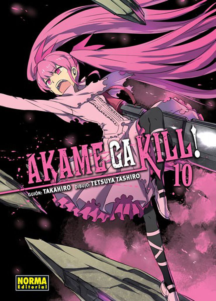 Akame Ga Kill! 10