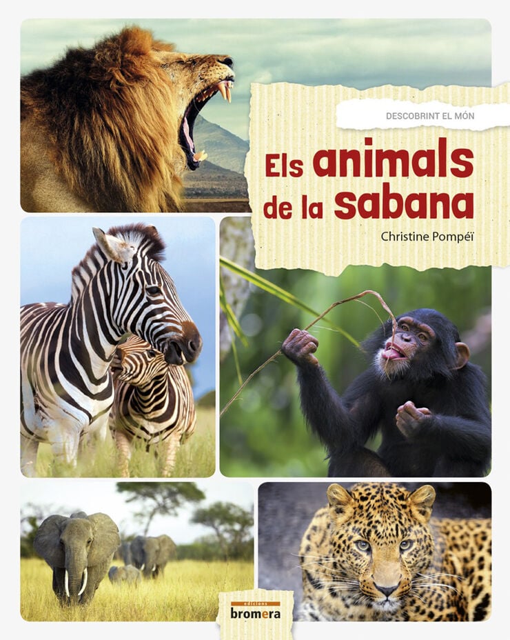 Els animals de la sabana- valencià