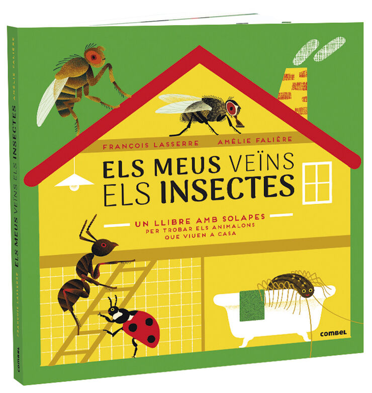 Els Meus Veïns Els Insectes