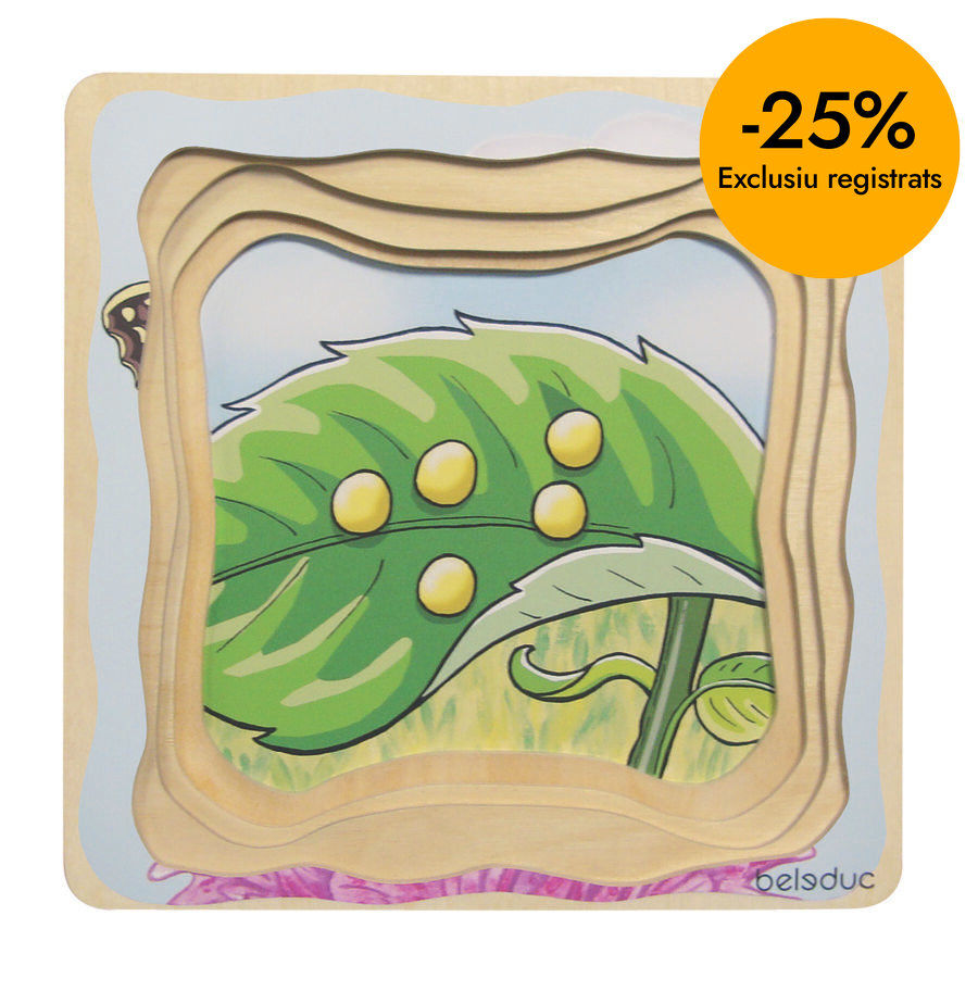 ENCAJE EVOLUTIVO MARIPOSA