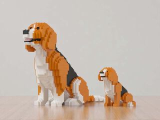 Jecka Beagle Mini