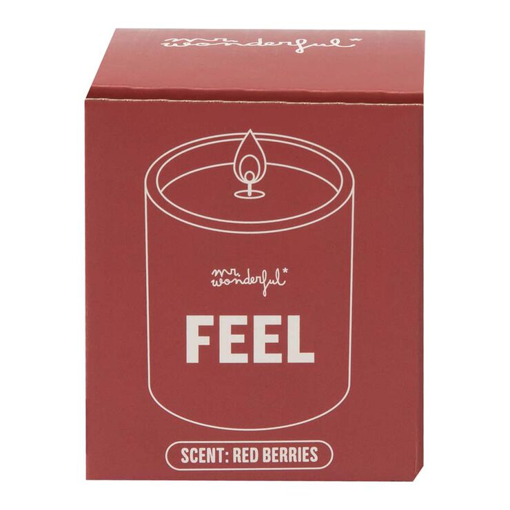 Vela Perfumada Mr.Wonderful Feel