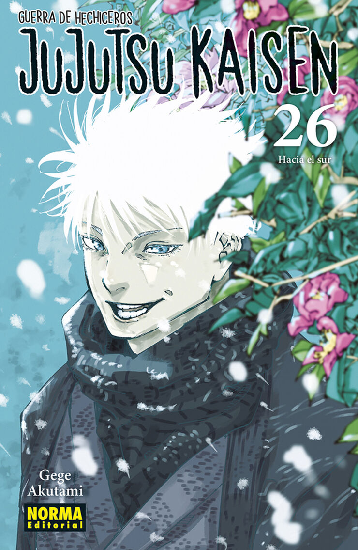 Jujutsu kaisen 26