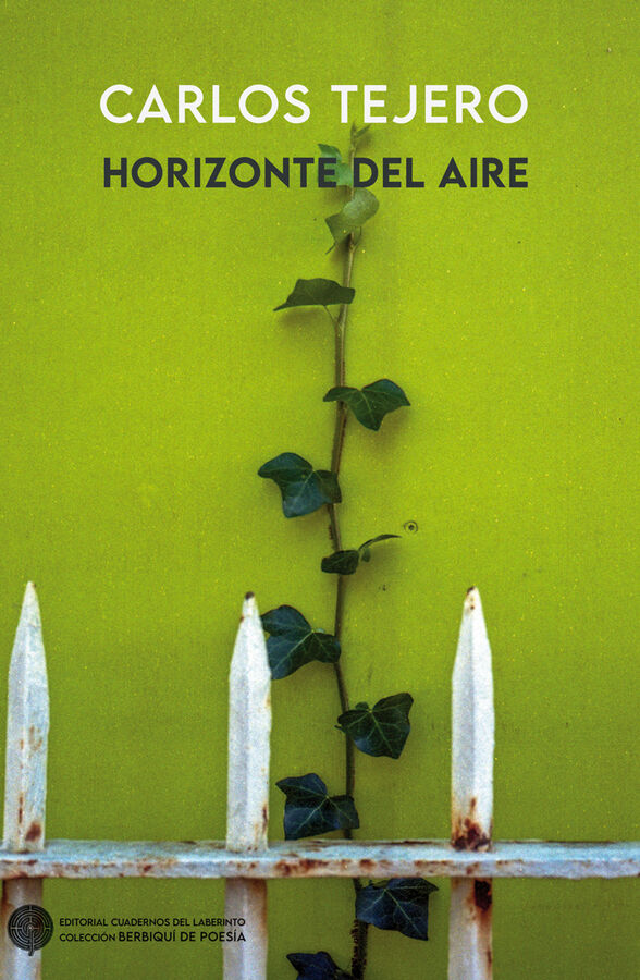 Horizonte del aire