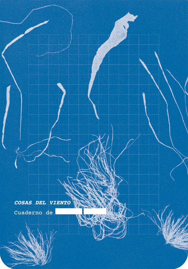 Cosas del viento