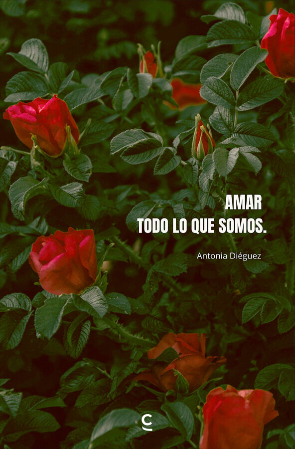 Amar todo lo que somos