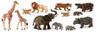 Animals salvatges amb bebés 12 unitats Miniland