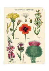 Set 3 Mini Libreta Cavallini Wildflowers
