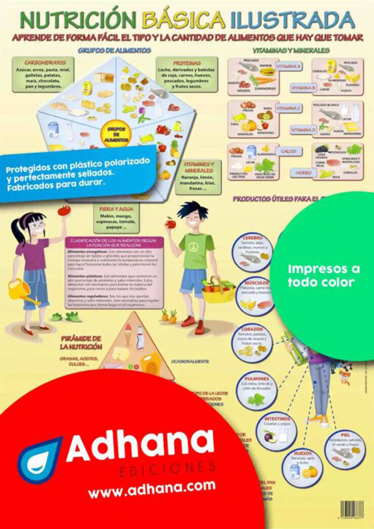 ADHA Nutrición básica ilustrada