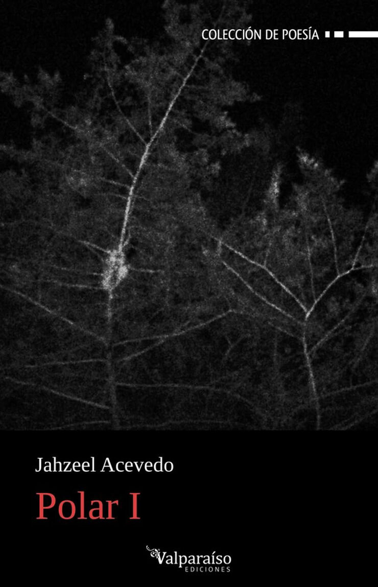 Polar I