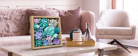 Marc fusta DIY Oktoclay Succulents Tenderness