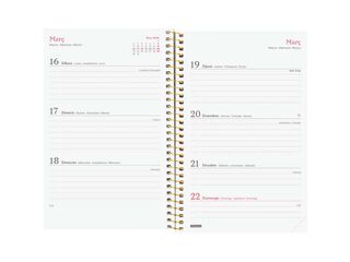 Agenda Finocam Design Collection E5 sem/vista horizontal cat 2026 Goldy