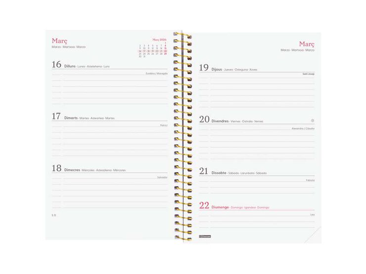 Agenda Finocam Design Collection E5 sem/vista horizontal cat 2026 Goldy