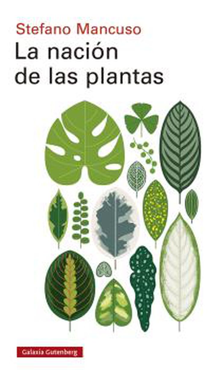 La Nación De Las Plantas