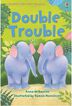 Double Trouble-VFR1