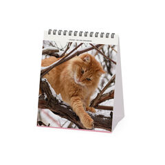 Calendario Legami 12x14,5 Sobremesa Cats Multiling&uuml;e 2027