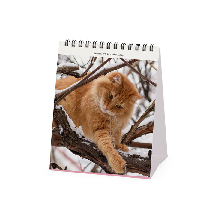 Calendario Legami 12x14,5 Sobremesa Cats Multiling&uuml;e 2027