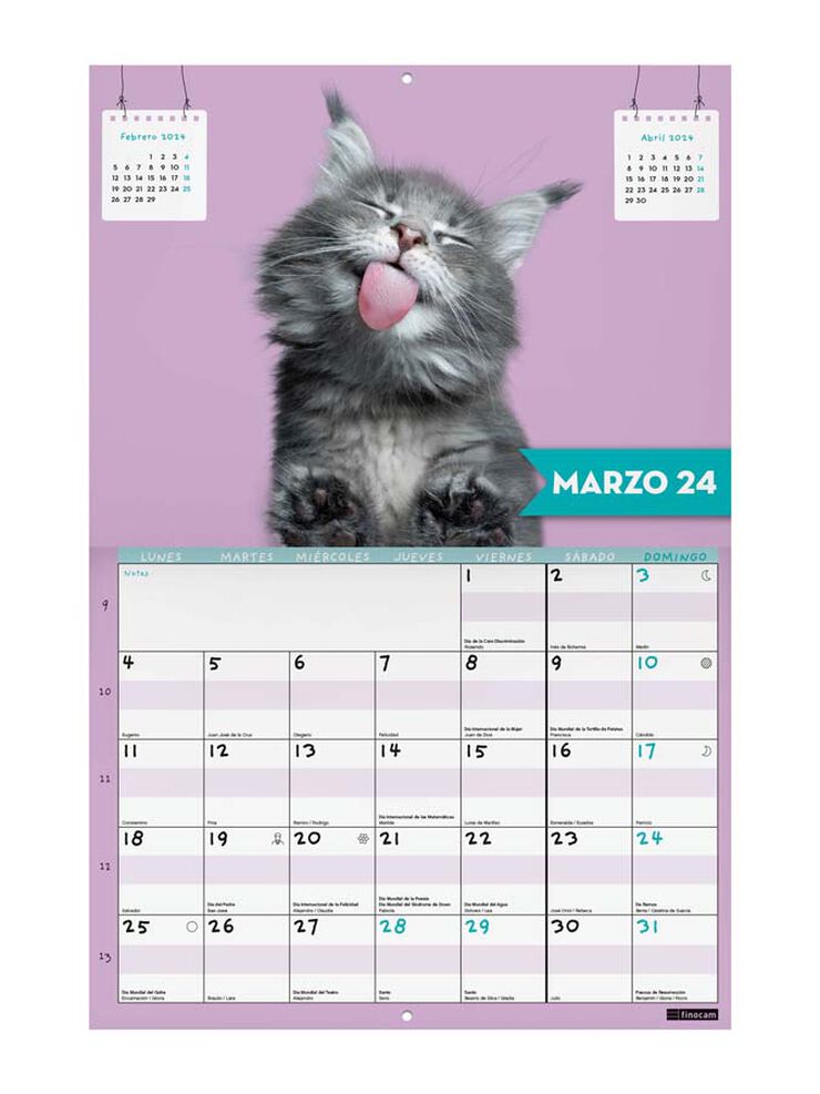 Calendario 16 Meses Finocam Funny Cats 23-24 Cast
