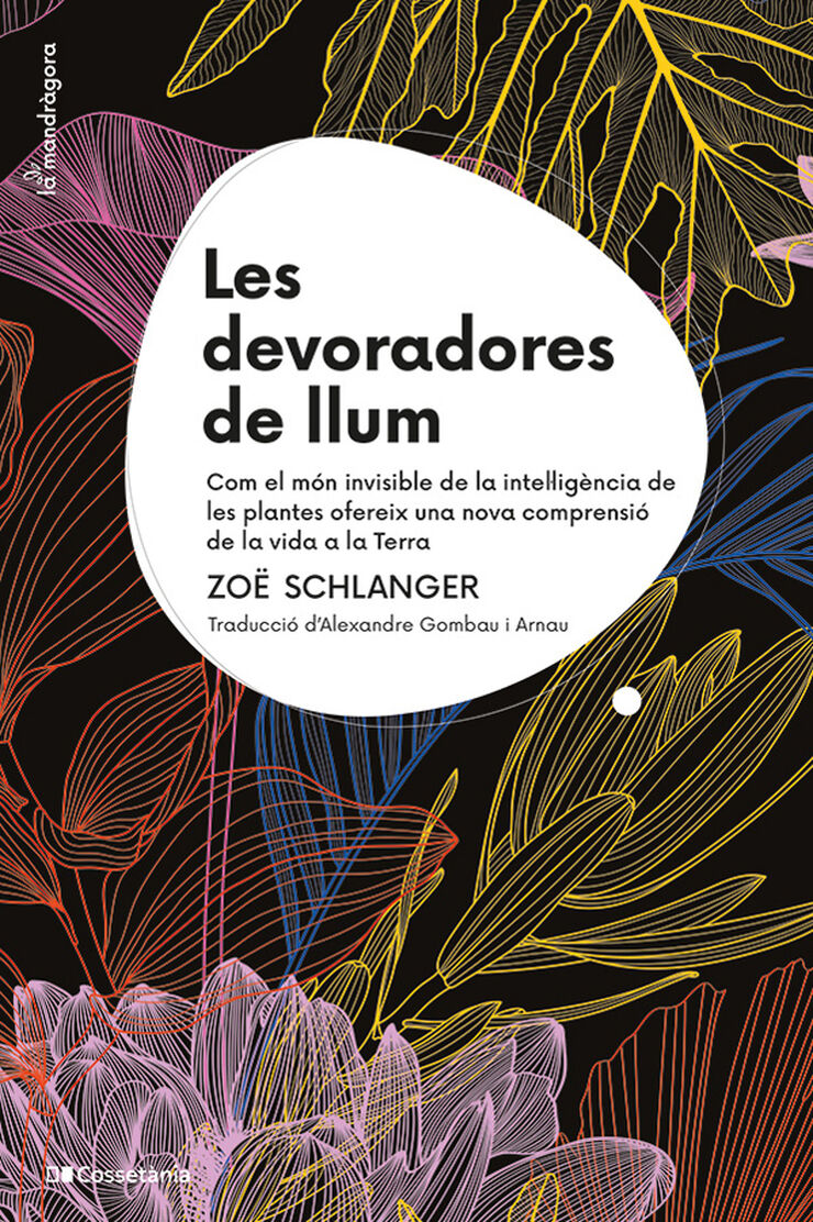 Les devoradores de llum